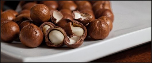 15_macadamia nuts