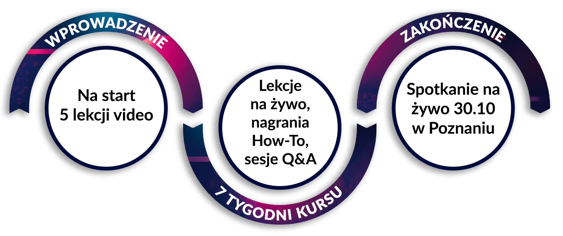 Grafika sekcji