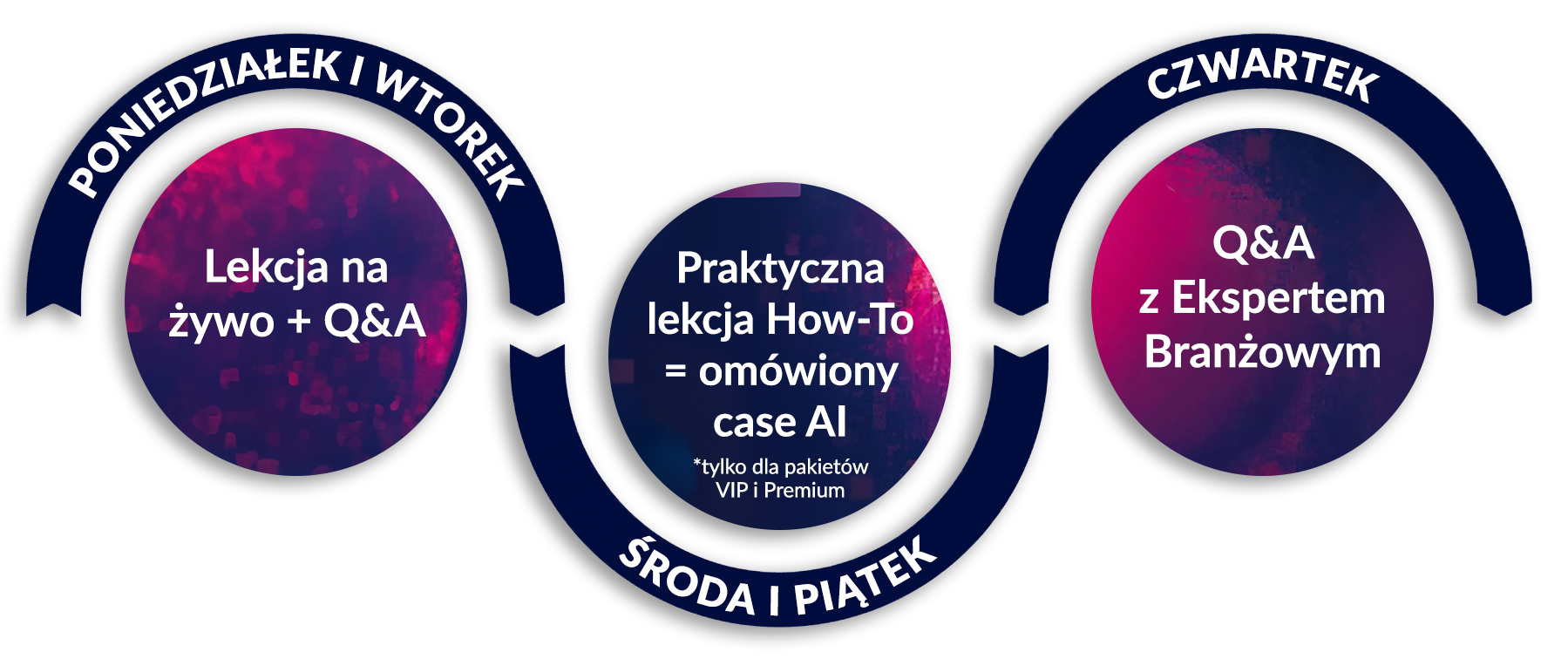 Grafika sekcji