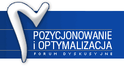 pozycjonowanie i optymalizacja