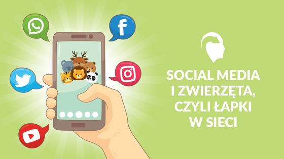 zwierzęta w social mediach