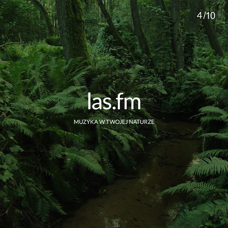 las.fm muzyka w twojej naturze