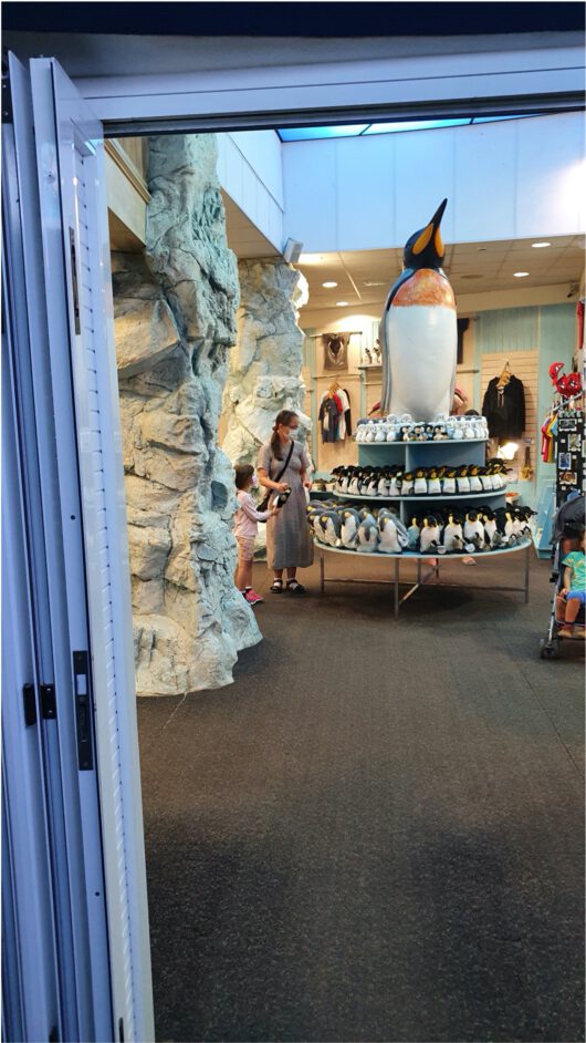 pingwinarium na teneryfie