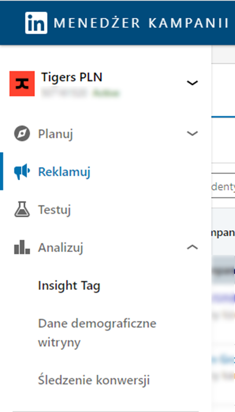 menadżer kampanii linkedin